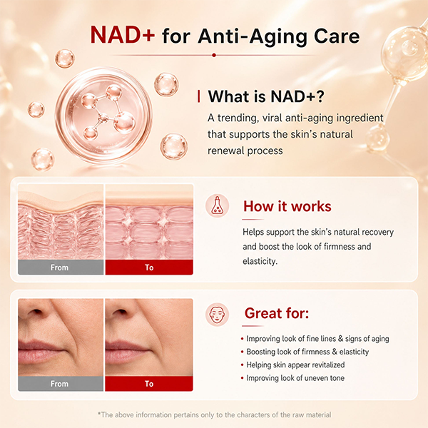 Korean NAD+ EGF Firming Serum